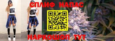 эйфоретик Гусев
