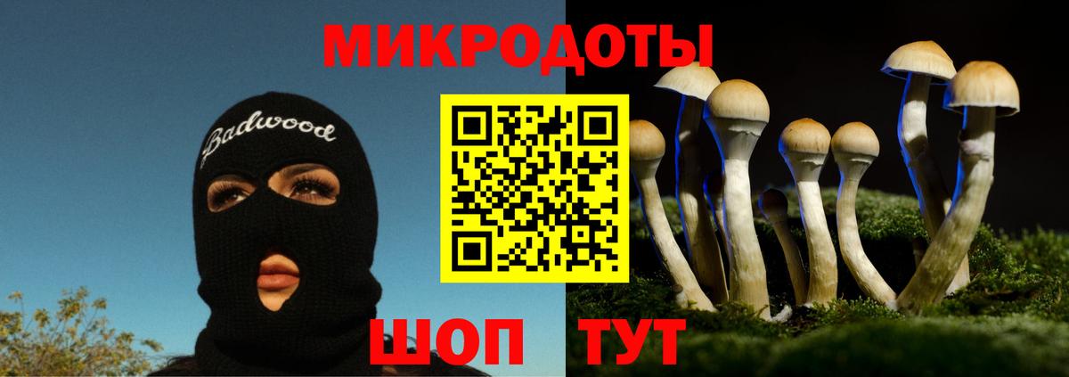 Галлюциногенные грибы прущие грибы  Псилоцибиновые грибы MAGIC MUSHROOMS  Магадан  Вход с VPN 