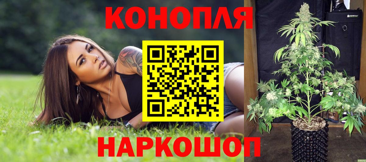Марихуана индика  Марихуана Ganja  Бошки Шишки гибрид  Вход с VPN  Каннабис планчик  Магадан 